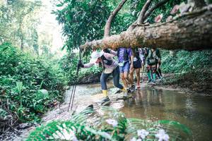 BIB: 
                            <button type="button" onclick="openModal(25461738)" class="btn btn-primary btn-sm float-right btn-popup" data-toggle="modal" data-target=".modal-high-quality">
                        <i class="fas fa-shopping-cart"></i> Add to Cart
                    </button>
                                            <button type="button" onclick="isThisMe(25461738, true)" class="btn btn-success btn-sm float-right btn-popup btn-isme hidden" data-toggle="tooltip" data-placement="bottom" title="นี่คือรูปของคุณใช่ไหม คลิกที่นี่เพื่อเอาเข้าอัลบั้ม">
                        <i class="fas fa-plus"></i> Add to album
                    </button>
                    <button type="button" onclick="isThisMe(25461738, false)" class="btn btn-warning btn-sm float-right btn-popup btn-isnotme hidden">
                        <i class="fas fa-ban"></i> Remove from album
                    </button>